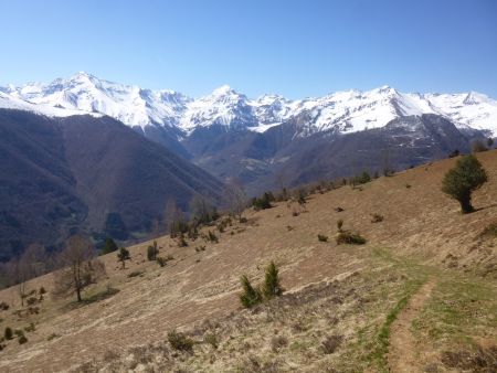 De la clairière au dessus du Pla de Nabio, vue sur la crête frontière