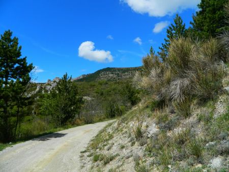 La piste à proximité du Poët-en-Percip.