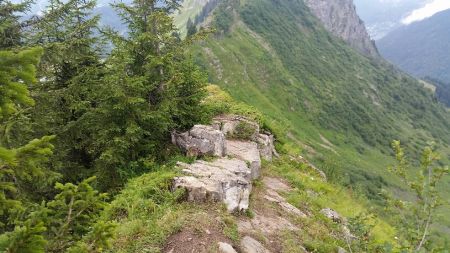 Sur l’arête N