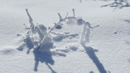 Les effets du givre.