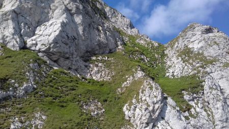 Vue sur l’écharpe herbeuse