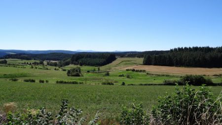 Mézenc, Alambre, Lizieux, Testavoyre.