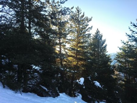 Rapidement, on est plongé dans une magnifique forêt