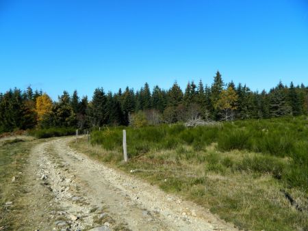 Le chemin va virer, pour suivre la lisière des bois et atteindre Panère, point culminant de la randonnée.