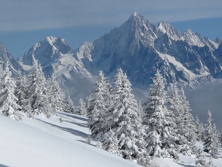 Aiguilles verte...