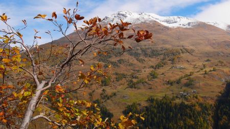 Rochers de Pierre Pointe.