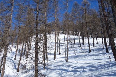 Descente de la Tête d’Oréac.