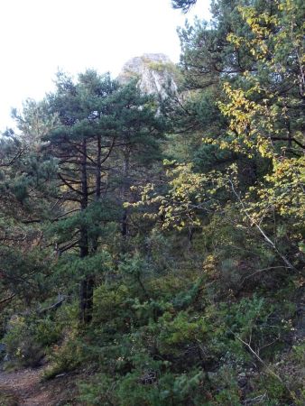 Sentier du Rocher Pointu