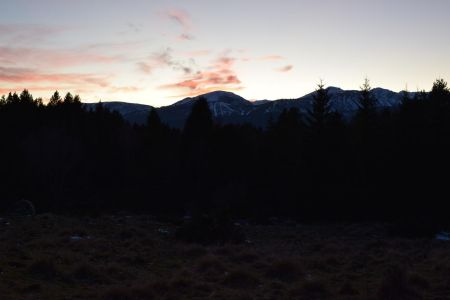 Retour dans la forêt. La balade se finira avec la nuit...