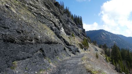 Sous la falaise 