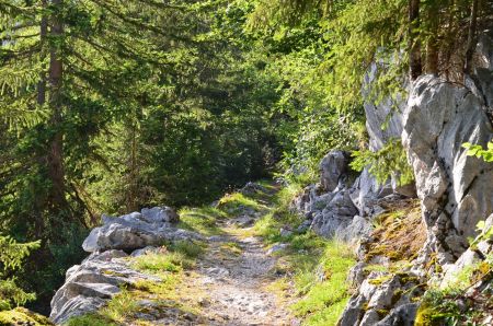 Le sentier de montée