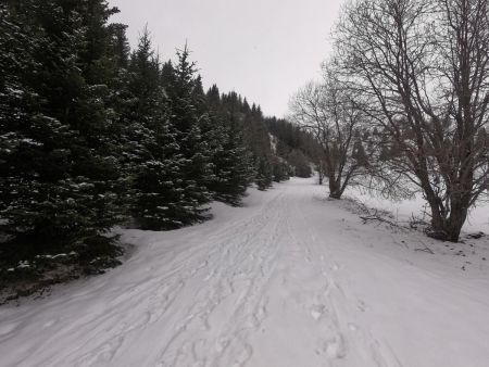 En bas du vallon de Corne