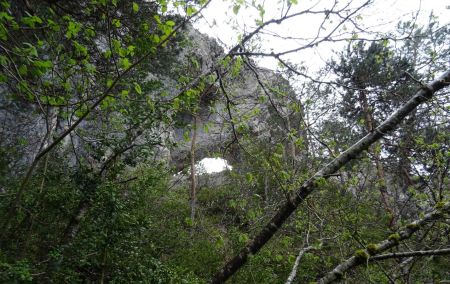 L’arche vue depuis la forêt de buis