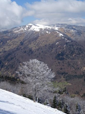 Monts Pelat et Morbié