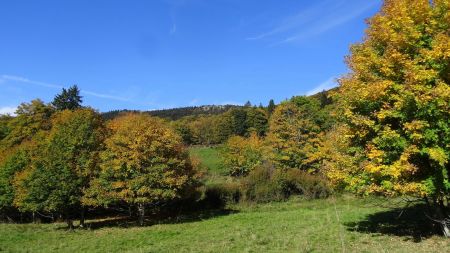 Vers le crêt du Rachat.