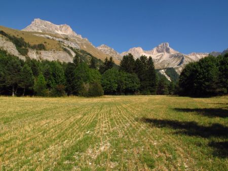 Au vallon de la Jarjatte.