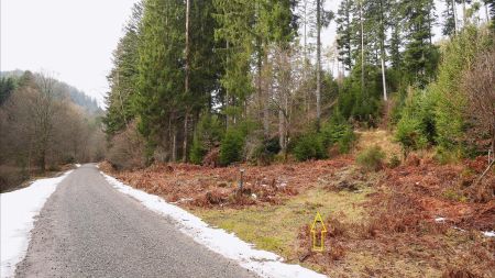 Peu après l’étang, départ du sentier sur la droite.