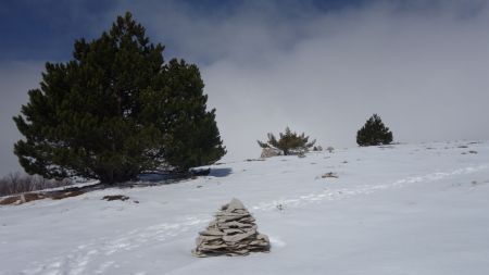 Montée vers l’aire du sommet de Lure