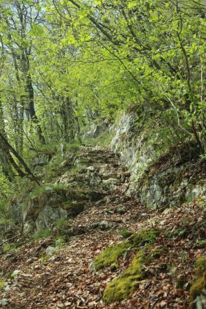 Sous la falaise