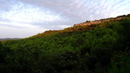 Soleil levant sur les falaises.