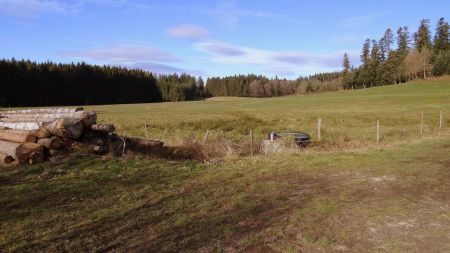 Le vallon qui se remonte jusqu’à la forêt.