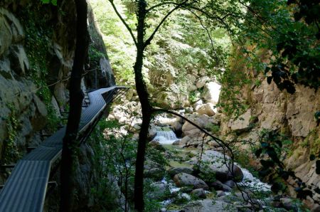 Passerelle suspendue