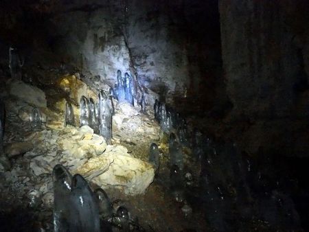 un véritable «champs» de stalagmites