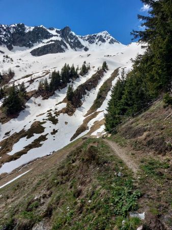 descente vers la Fraitière et les Charmettes face au Bellachat