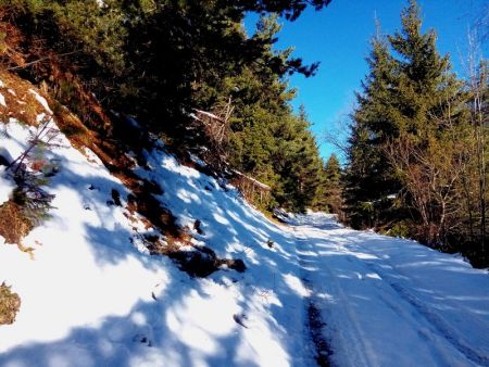 Piste forestière de l’Outraz