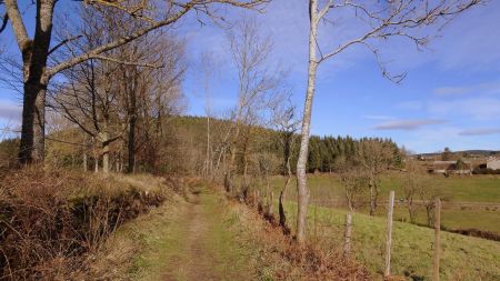 Beaucoup de prairies pour ce Sentier forestier.