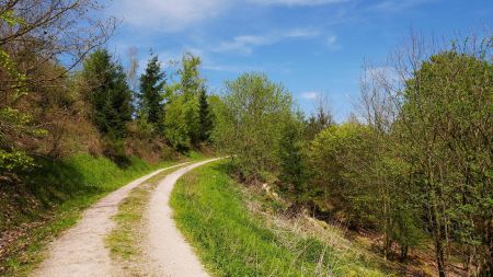 Ibachweg, en haut du vallon.