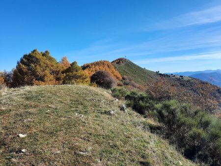 Dans le rétro