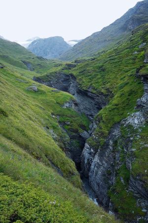 Sur la sente qui longe la rive droite du ruisseau du Nant Cruet.