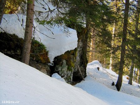 Montée en forêt