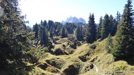 Arrivée sur la crête du Charvet