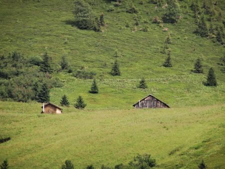 Gros plan sur l’alpage du Banc, un alpage complètement isolé dans le versant ouest de Croisse Baulet.