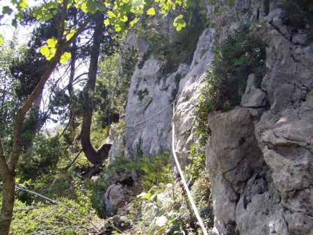 Le long de la falaise