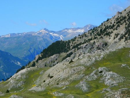 Vallon de descente.