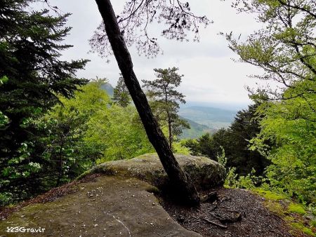 Rocher Oberkirch