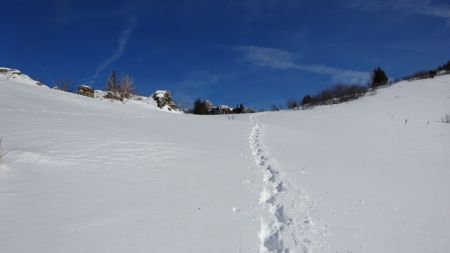 Seul dans la neige...