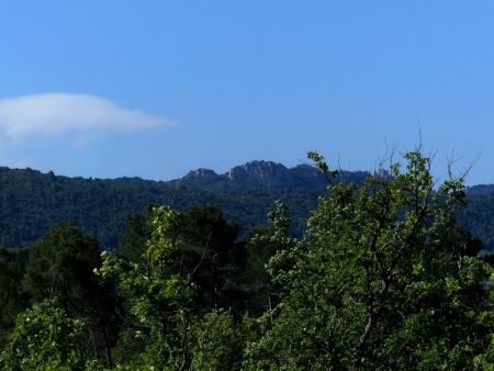 Les dentelles de Montmirail assez proches.