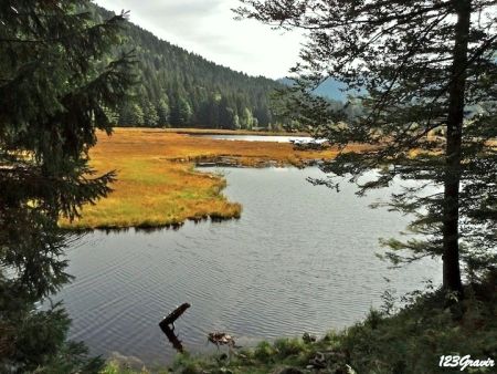 Les eaux sombres du Lac de Lispach