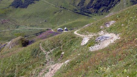 Retour sur le sentier ( vers le point coté 2003m)