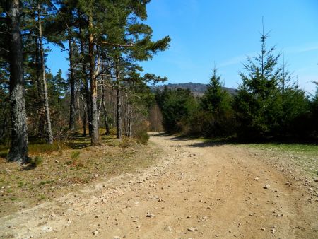 Descente sur la Croix de Boiray.