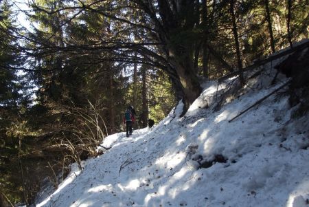 Montée au Plan du Cerf