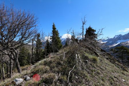 La crête en direction de l’Est.