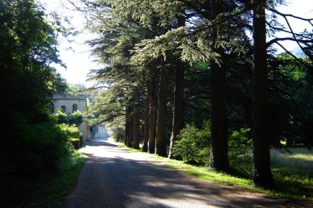 L’allée de cèdres et l’ancienne Auberge des Dauphins. 