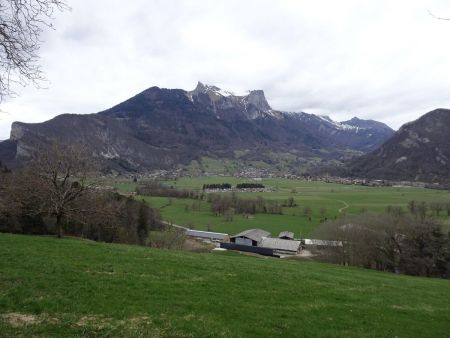 En montant au Crêt de Chambellon