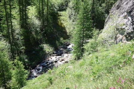 En contrebas le torrent de Fréjus