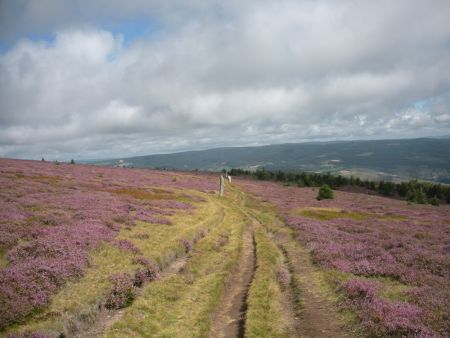 En chemin sur le GR70